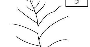Graphisme En Gs Et Ms Tracer Des Lignes Ondulee En Maternelle Feuille Automne Arbre Automne Automne