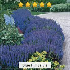 We did not find results for: Breck S Canada Home Facebook