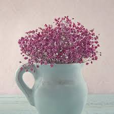 Love has no freshness period, and every day is a honey love. Symbolic Meanings Of Flowers That You Ve Been Wanting To Know Gardenerdy