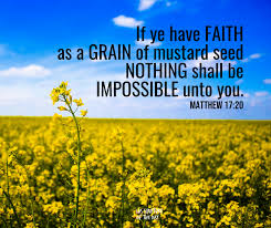 If Ye Have Faith As A Grain Of Mustard Seed Nothing Shall Be Impossible Unto You Matthew 17 20 Sharegoodness Faith Matthew 17 Scripture Of The Day Faith