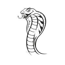 Download and print these king cobra coloring pages for free. Cobra Images Free Vectors Stock Photos Psd