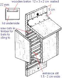 Providing Homes For Wildlife Lincolnshire Wildlife Trust Bat House Diy Bat House Plans Bat House
