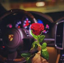 Most beautiful rose profile dpz stylish flowers what s app facebook instagram dpz. Pin By Cotton Candy On Boys Dps Love Flowers Rose Pic Beautiful Flowers