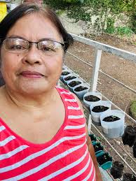Magandang hapon po sa lahat saan man sulok sa Mundo hehehe… finished  planting my petchay using empty bottles.Hoping nga maayo ang resulta og  tambok sama nako 😁