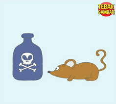 Silakan laporkan melalui grup kunci jawaban tebak gambar di whatsapp jika ada jawaban yang sudah tidak sesuai dengan soal tebak gambar versi terbaru atau ada soal terbaru yang ingin ditanyakan dan didiskusikan. Tebak Gambar Video Tebakgambarvid Twitter