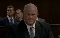 Image result for who plays bosch's attorney in season 5