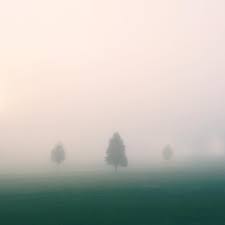 Eric Yerke (@ericyerke) • Instagram photos and videos