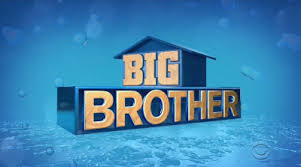 Deelnemers willem en ruud ('effe knuffelen') vertellen. Big Brother 21 American Season Wikipedia