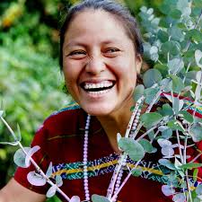 brindamour's collection