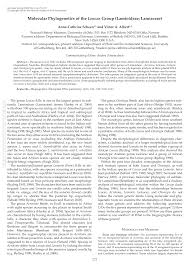 Image result for Leonotis myrothamnifolia