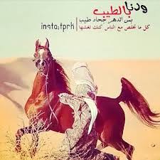 Check spelling or type a new query. Ø´Ø¹Ø± Ø¹Ù† Ø§Ù„Ø·ÙŠØ¨ 2021 Ø§Ø´Ø¹Ø§Ø± Ù‚ØµÙŠØ±Ø© Ø¹Ù† Ø§Ù„ÙƒÙÙˆ Ø®ÙˆØ§Ø·Ø± Ø¹Ù† Ø·ÙŠØ¨ Ø§Ù„Ø§ÙØ¹Ø§Ù„ Ø¹Ø¨Ø§Ø±Ø§Øª Ø¹Ù† Ø§Ù„Ø·ÙŠØ¨ ÙˆØ§Ù„Ø´Ù‡Ø§Ù…Ø© ÙˆÙ„Ù‡