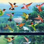 bird window decals from www.amazon.com
