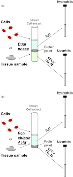 The game can be found in appondale as well as the sol arcade. Metabolomic Nuclear Magnetic Resonance Spectroscopy Techniques For Body Tissue Analysis Section 4 Methodologies For Metabolomics