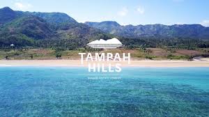 Jakob valdemar olsson johansson (born 21 june 1990) is a swedish professional footballer who plays as a defensive midfielder for ifk göteborg. Visiting Tampah Hills Where Jon Olsson Is Going To Build A House Vlog 11 Lombok Indonesia By Filip Rudolphson