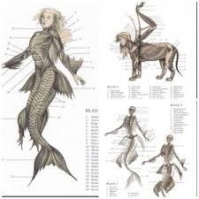 Frightful Friday The Resurrectionist The Lost Work Of Dr Spencer Black By E B Hudspeth Daughter Of Smoke And Bone Anatomy Art Ancient Aliens