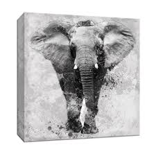 Black And White Elephant Wall Pictures Ptm Images 15 In X 15 In Proud Elephant Canvas Wall Art Multicolored Elephant Canvas Canvas Wall Art Elephant Art