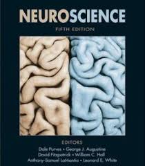 Neuroscience 5th Edition Pdf Neuroscience Free Medical Textbook