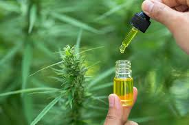 Researching CBD oil for depression | Open Access Government