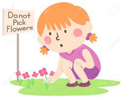 Because we wish to encourage healthy and productive dialogue we ask that all comments remain polite, free of profanity or name calling, and relevant to the original post and. Illustration Of A Kid Girl Not Following Rules By Picking Flowers Stock Photo Picture And Royalty Free Image Image 140162030