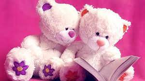Teddy Bear Pink Reading Book Wallpaper Teddy Bear Pink Reading Book Wallpaper Toy Download Hd Wallpaper Teddy Download Hd Wallp Book Wallpaper Teddy Bear Teddy