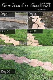 Do You Have A Lawn Full Of Weeds This Can Help Growing Grass Best Grass Seed Lawn Growing Lawn
