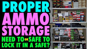 Jul 2021 reviews & buying guide. Proper Ammo Storage Need To Safe To Lock It Up Youtube