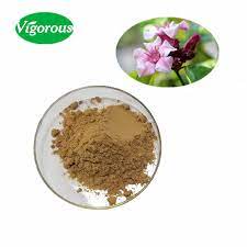 Despite serious safety concerns, people take strophanthus for hardening of the arteries (arteriosclerosis), heart problems, and high blood pressure. Free Sample Strophanthus Gratus Extract Powder Buy Strophanthus Gratus Extract Strophanthus Gratus Extract Powder Strophanthus Gratus Powder Product On Alibaba Com