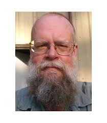 How to keep gnats off ripening tomatoes?