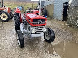Tony el cucuy ferguson is an american professional mixed martial artist in the ufc lightweight division. Mini Tractor Massey Ferguson 135 From Ireland For Sale Id 5245308