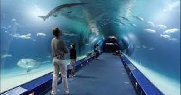 Oceanarium — Atrakcja w Kołobrzegu