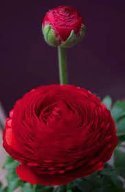 Pin On Beautiful