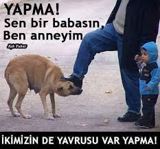 Firat Gune Adli Kullanicinin Hayvanlara Merhamet Et Panosundaki Pin Hayvan Sozleri Hayvan Haklari Sevimli Kopek Yavrulari