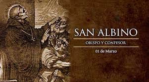 Santo del día 1 de marzo: San Albino. Santoral católico