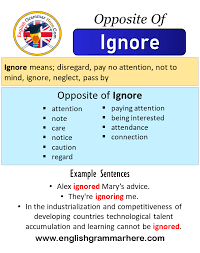 نتیجه جستجوی لغت [ignore] در گوگل