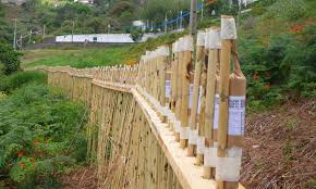 Resultado de imagem para Foguetes festas