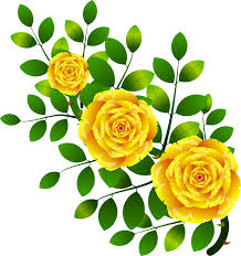 In addition, all trademarks and usage rights belong to the related institution. Yellow Rose Clipart Free Download Transparent Png Creazilla