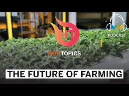 9 ways to name your fashion blog. Ever Sustainable Indoor Farming Sap News Center