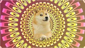 Doge To The Moon In 2021 Doge Much Wow Sleep