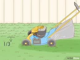 Find the fix for your fungus q: 3 Ways To Treat Lawn Fungus Wikihow