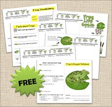 We've also created a fun printable wheel showing the main stages of frog development. Free Life Cycle Of A Frog Worksheets