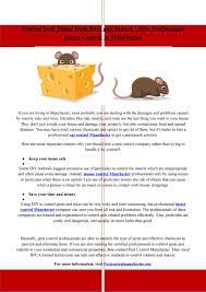 They identify the type of pest causing the infestation and use either pesticides or manual solutions to get rid of them. Protect Your Home From Rats And Insects Hire Professional Insect Control In Manchester By Manchester Pest Control Issuu