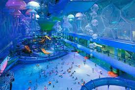 Check spelling or type a new query. Bienvenue Dans La Plus Belle Piscine Du Monde Out The Box