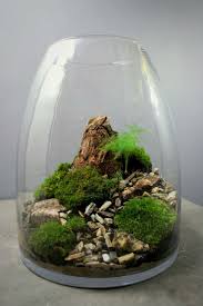 Mahmut Kirnik 2557 Air Plant Terrarium Zen Garden Garden Terrarium