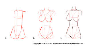How To Draw Anime Girl Torso Novocom Top Anime characters can vary in shape and size, but start by drawing them with human proportions sketch an hourglass shape with 2 circles in it for the torso. how to draw anime girl torso novocom top