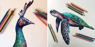 🌎 world's best animal art. Easy Realistic Colour Pencil Drawing Novocom Top