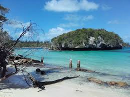 Our site staff are still available at a reduced capacity and they. Ein Tag Im Paradies Auf Der Ile Des Pins In Neukaledonien Inseln Zum Traumen