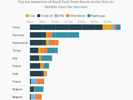 How Runaway Kleptocracy & Post-Putin Insecurity Led to War in Ukraine &  World-Wide Fallout. | by Peter Winn-Brown | Medium