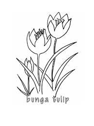 Dengan berbagai gambar yang ada pasti anda ingin memiliki dari salah satu yang sudah saya sebutkan diatas. 100 Gambar Sketsa Bunga Tulip Yang Mudah Kekinian Gambar Pixabay