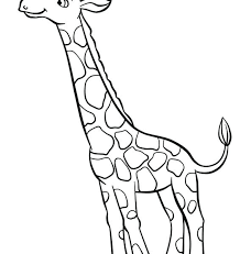 Draw this giraffe by following this drawing lesson. Easy To Draw Giraffe For Kids Novocom Top