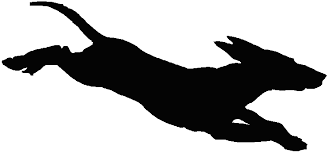 Running Dog Silhouette Clip Art Cat Silouette Dog Silhouette Dog Adoption